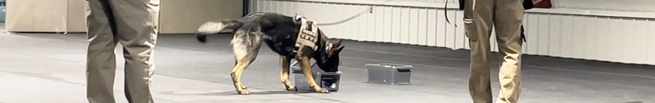 K9 Drug Detection